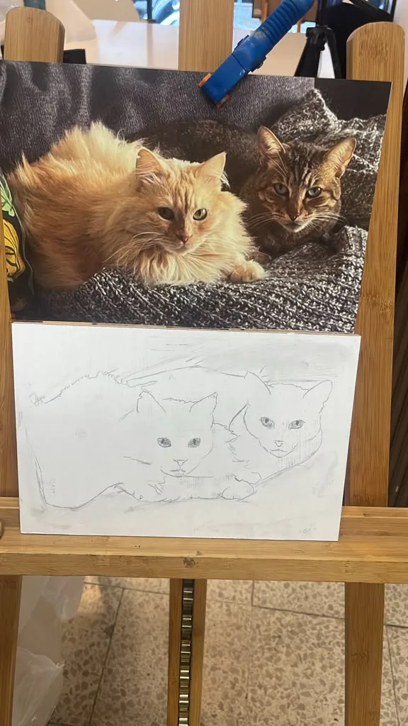 The client’s photo of a ginger cat and a tabby cat on a grey blanket.