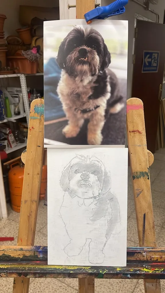 The client’s photo of a small shih tzu sitting up.