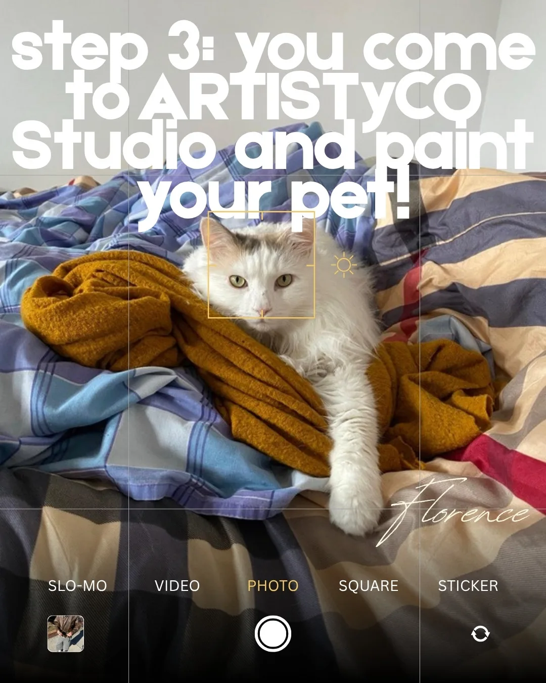 A white cat on a checked blanket. Slide text: Step 3: You come to ArtistyCO Studio and paint your pet!
