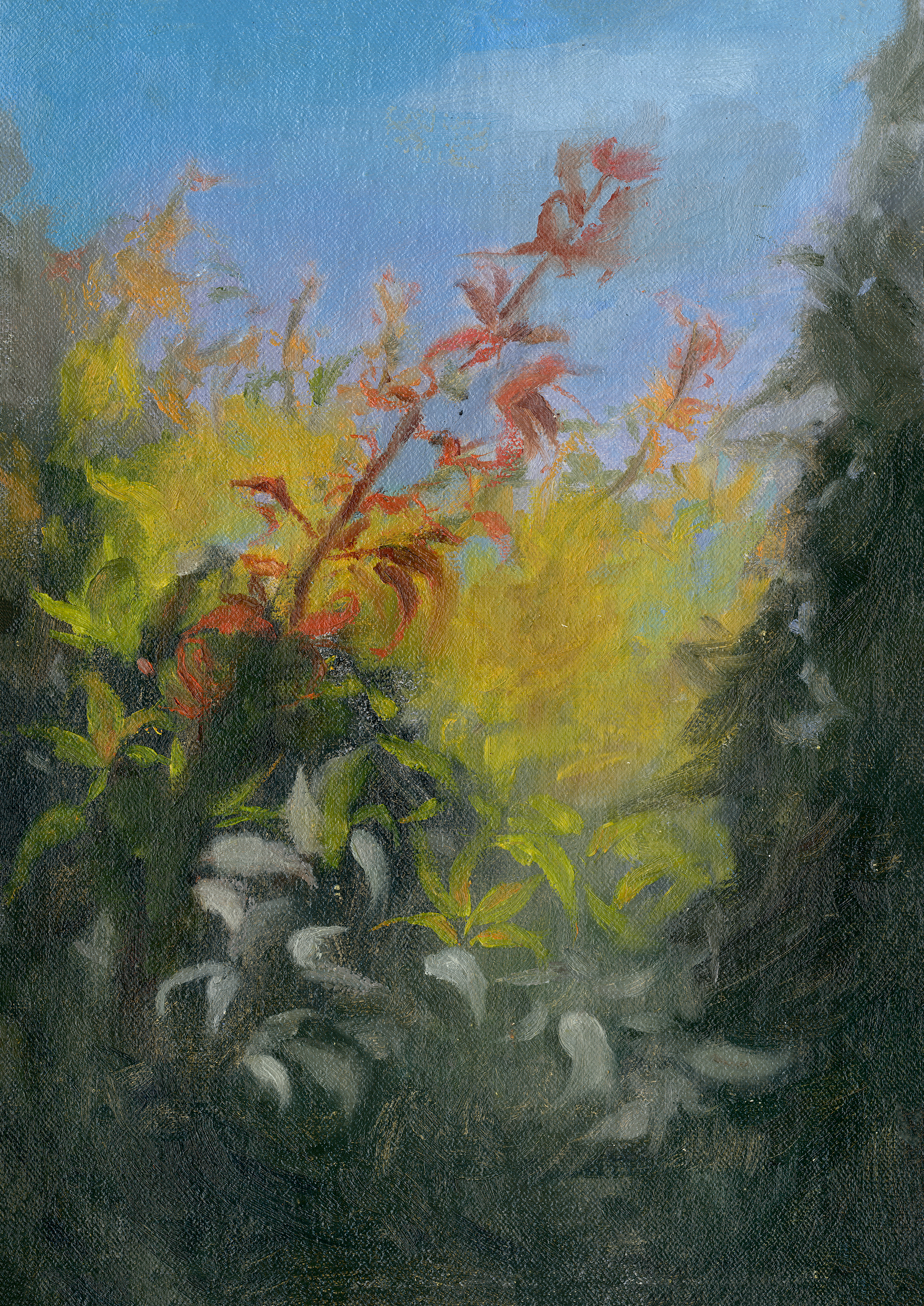 Spring Dawn Artwork
